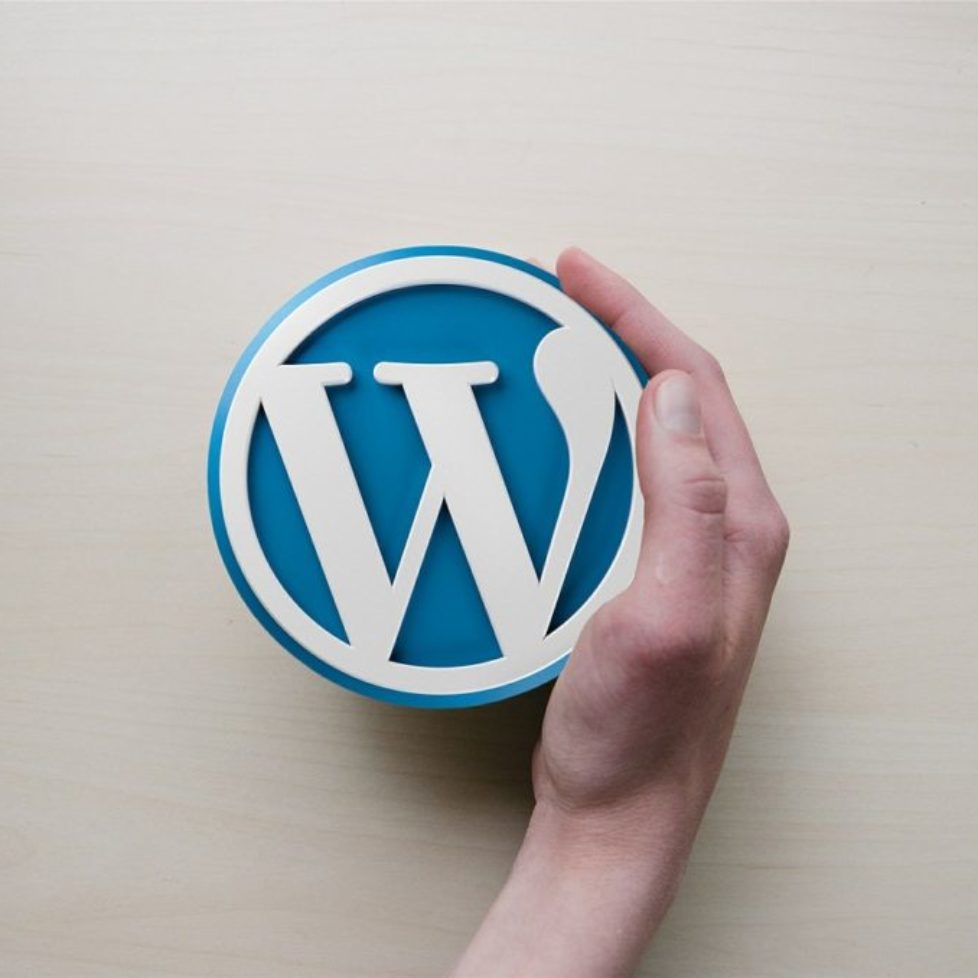 wordpress care plan